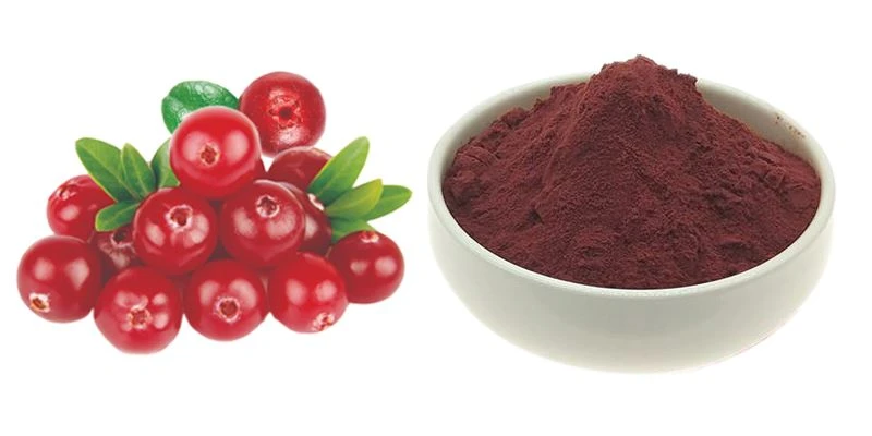 product-1-1 Picture of cranberry extract powder