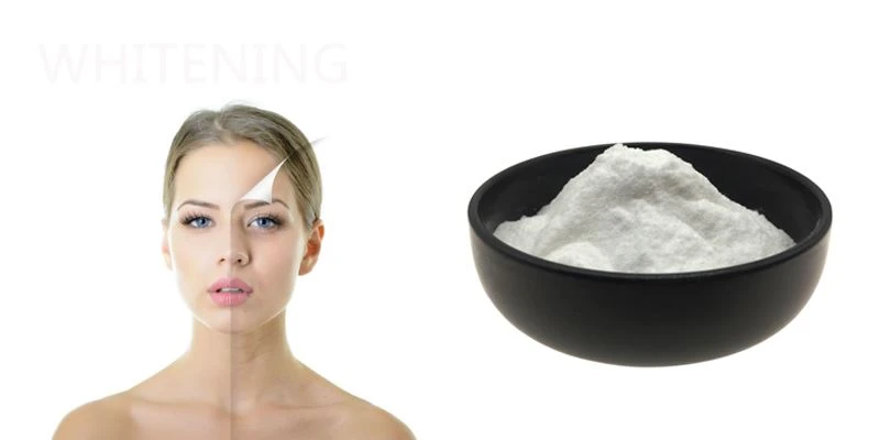 product-800-400 Endothelin antagonists Introduction